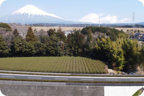 工事後の道路と富士山